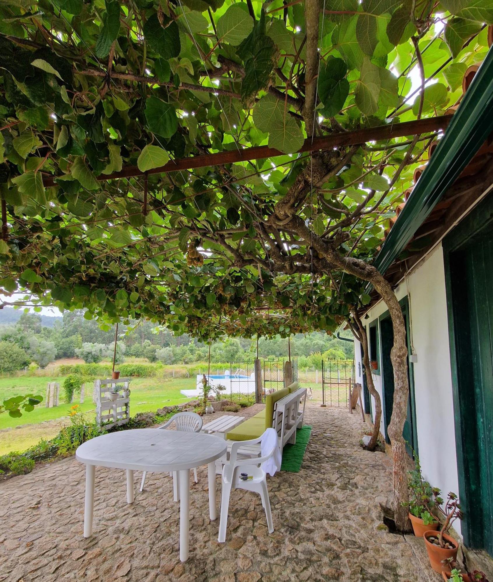 Villa Casa Do Pinheiro Manso Valenca Exterior foto